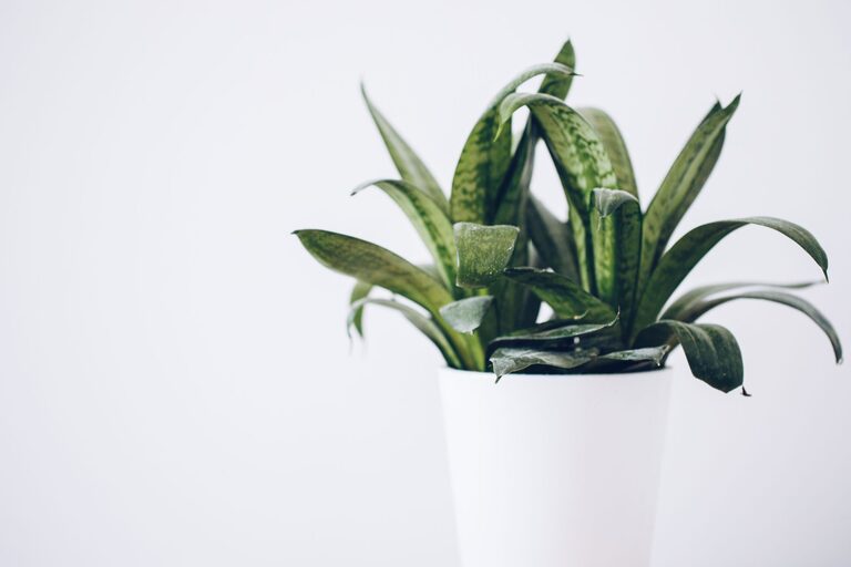 resized_17_api